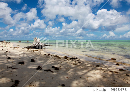 サイパンの海 9948478