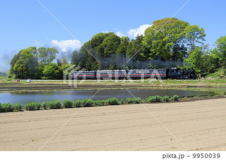 真岡鐵道「田畑のグラデーションとSLもおか号」 9950039