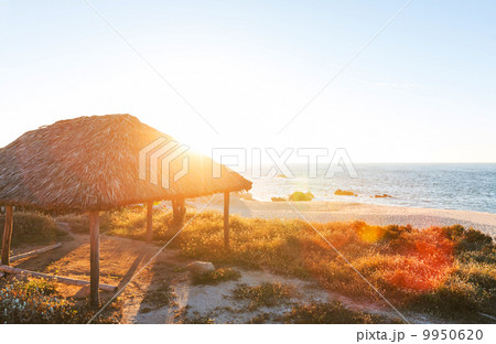 Sea sunset 9950620