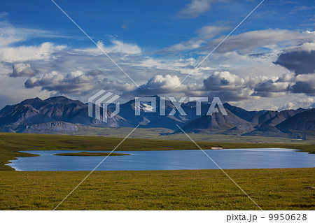 Lake on Alaska 9950628