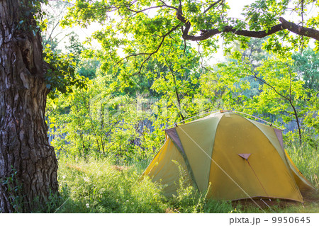 Tent on grassland Tent on grassland 9950645