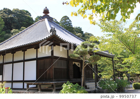 橘寺 橘寺 9950737
