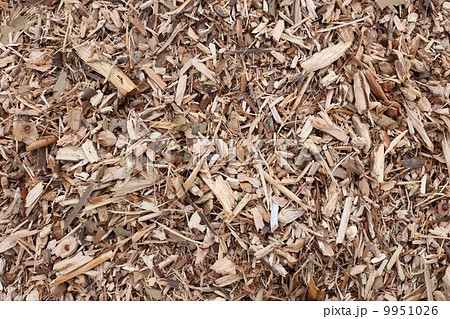 ウッドチップ 9951026