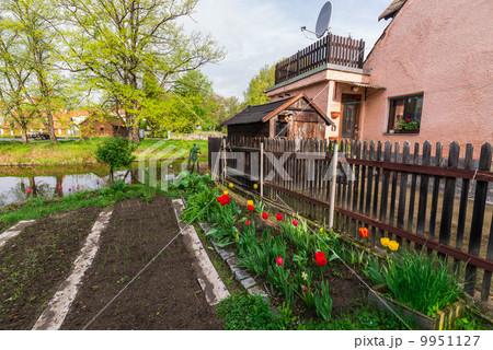 チェコ チェスキー・クルムロフ 民家の菜園 チェコ チェスキー・クルムロフ 民家の菜園 9951127
