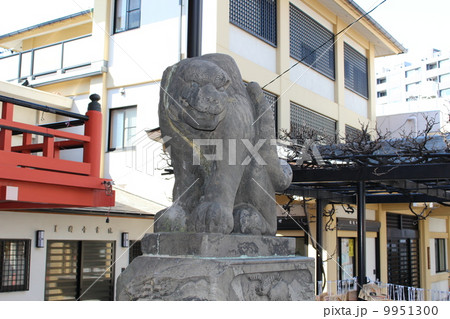 善国寺の狛寅阿形 9951300