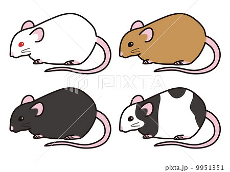 70以上 マウス イラスト フリー 研究 マウス イラスト フリー 研究 Apixtursae5rpmx