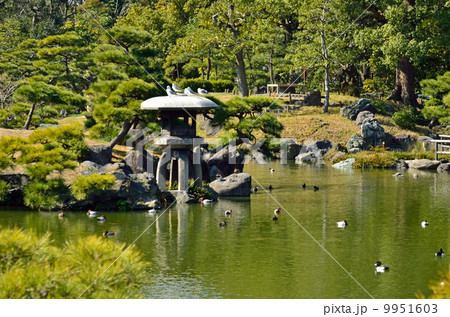 清澄庭園・大泉水と鵜島 9951603