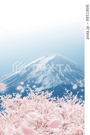 桜 富士山 桜 富士山 9951906