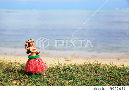 フラダンス人形 9952051