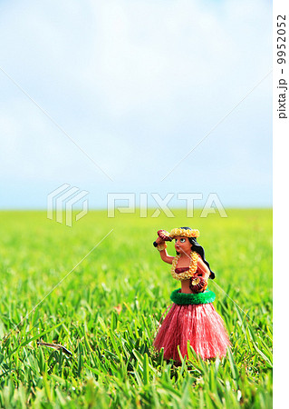 フラダンス人形 フラダンス人形 9952052