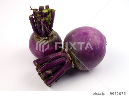 辛味大根 9952076