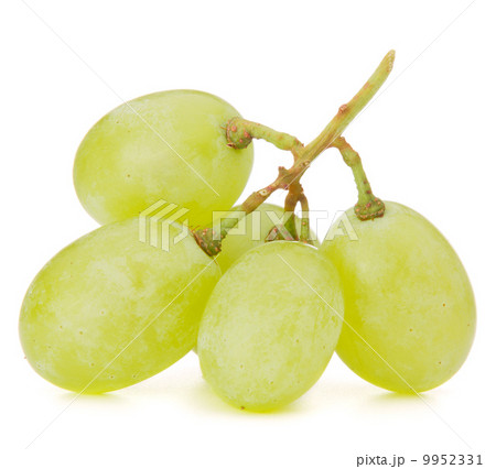 Green grape bunch 9952331