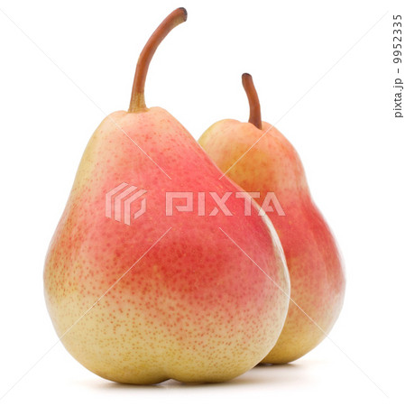 Ripe pear fruit isolated on white background cutout 9952335
