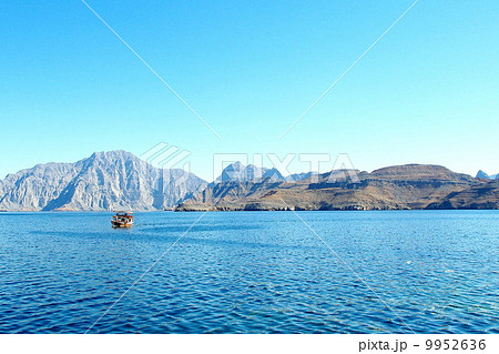 ムサンダム半島 9952636