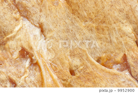 Tileable organic texture. 9952900