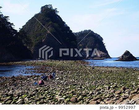 三四郎島で潮干狩り 9952997