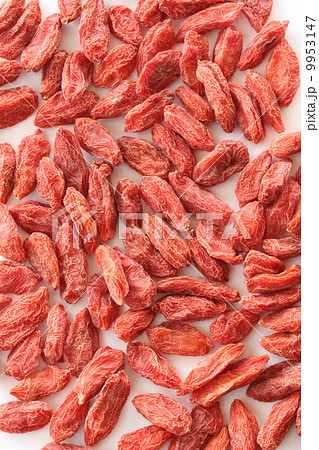 クコの実 クコの実 9953147