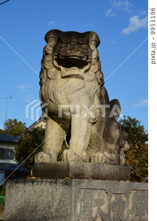 長良天神神社の狛犬 9953196