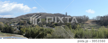 冬の里山 9953560