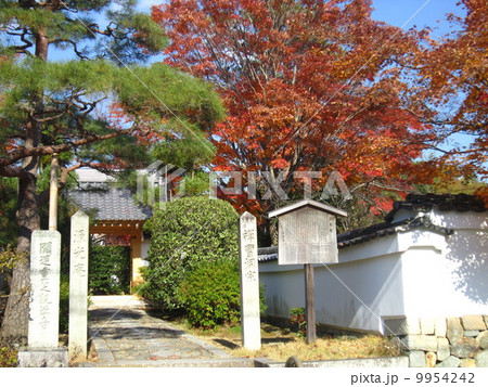 源光院　 9954242