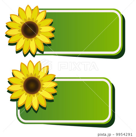 Vector stickers and sunflower Vector stickers and sunflower 9954291