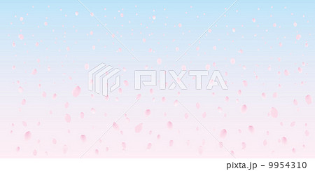 桜の花びらの散る感じ 桜の花びらの散る感じ 9954310