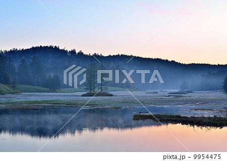 湿原の朝 9954475