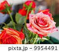 バラ 9954491