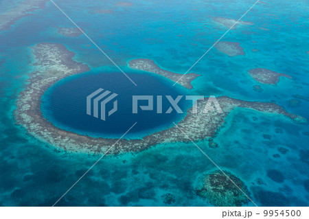 ブルーホールG 9954500