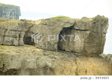 犬の門蓋(いんのじょうふた) 犬の門蓋(いんのじょうふた) 9954665