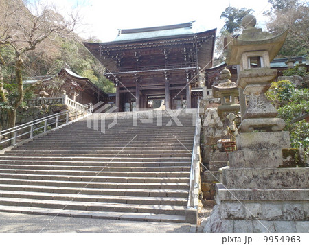 伊奈波神社_岐阜 9954963