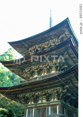 西明寺　三重塔 9955092