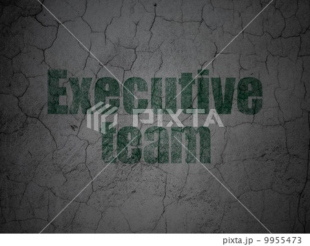 Business concept: Executive Team on grunge wall background 9955473