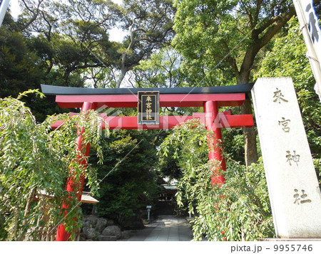 来宮神社その4 来宮神社その4 9955746