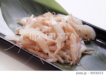 白エビ 9956033