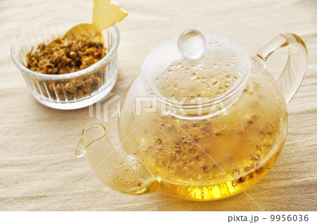 カモミールティー カモミールティー 9956036