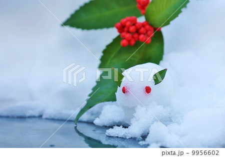 新春イメージ・雪解けの雪に雪うさぎと千両・雪バック横位置 9956602