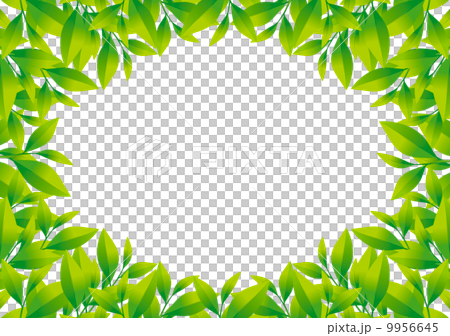 茶葉フレーム 9956645