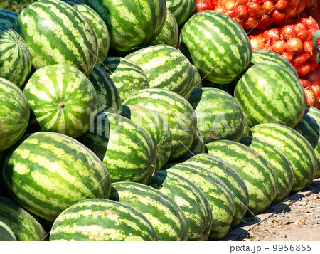 Watermelons heap. Watermelons heap. 9956865