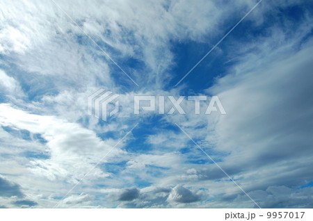 空 9957017