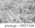 close up marble background 9957106