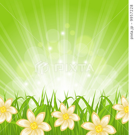 Spring background with green grass and flowers Spring background with green grass and flowers 9957228