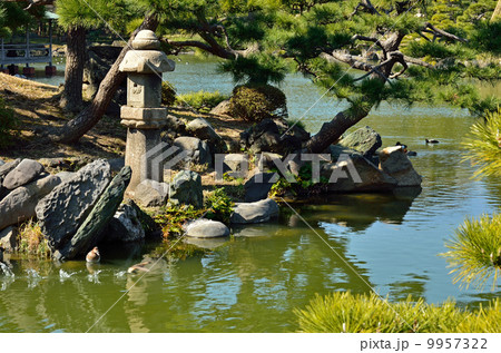 清澄庭園・大泉水の鵜島　 9957322