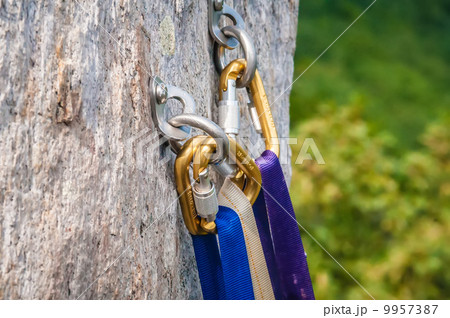 Climbing carabiner 9957387