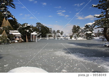 冬の兼六園 9958049