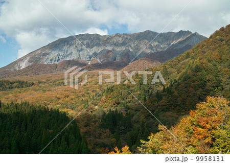 鍵掛峠からの秋の大山 鍵掛峠からの秋の大山 9958131