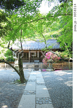 高徳院の観月堂 9958314