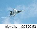 F15 9959262