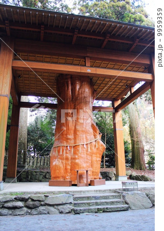手野の大杉 手野の大杉 9959359
