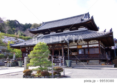 園城寺（三井寺）観音堂 9959380